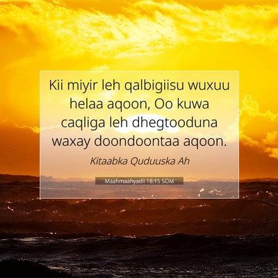 Picture 07 - Maahmaahyadii 18:15 SOM - Kii miyir leh qalbigiisu wuxuu helaa aqoon, Oo - Bible Verse Picture