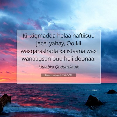 Picture 07 - Maahmaahyadii 19:8 SOM - Kii xigmadda helaa naftiisuu jecel yahay, Oo kii - Bible Verse Picture