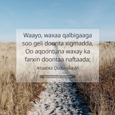 Picture 07 - Maahmaahyadii 2:10 SOM - Waayo, waxaa qalbigaaga soo geli doonta xigmadda, - Bible Verse Picture
