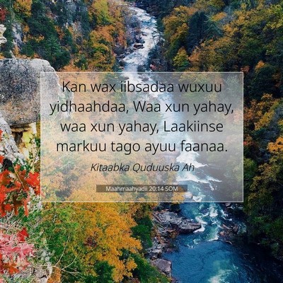 Picture 07 - Maahmaahyadii 20:14 SOM - Kan wax iibsadaa wuxuu yidhaahdaa, Waa xun yahay, - Bible Verse Picture
