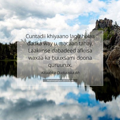 Picture 07 - Maahmaahyadii 20:17 SOM - Cuntadii khiyaano lagu helaa dadka way u macaan - Bible Verse Picture