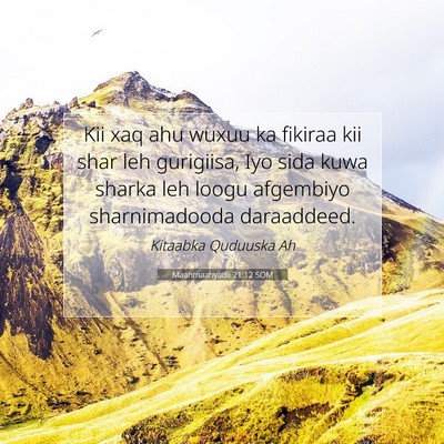 Picture 07 - Maahmaahyadii 21:12 SOM - Kii xaq ahu wuxuu ka fikiraa kii shar leh - Bible Verse Picture