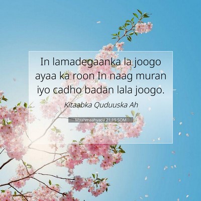 Picture 07 - Maahmaahyadii 21:19 SOM - In lamadegaanka la joogo ayaa ka roon In naag - Bible Verse Picture