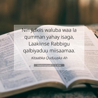 Picture 07 - Maahmaahyadii 21:2 SOM - Nin jidkiis waluba waa la qumman yahay isaga, - Bible Verse Picture