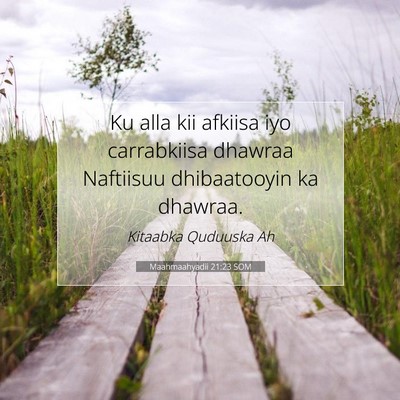 Picture 07 - Maahmaahyadii 21:23 SOM - Ku alla kii afkiisa iyo carrabkiisa dhawraa - Bible Verse Picture