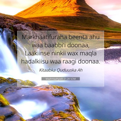 Picture 07 - Maahmaahyadii 21:28 SOM - Markhaatifuraha beenta ahu waa baabbi'i doonaa, - Bible Verse Picture