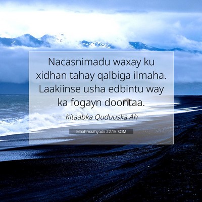 Picture 07 - Maahmaahyadii 22:15 SOM - Nacasnimadu waxay ku xidhan tahay qalbiga ilmaha. - Bible Verse Picture
