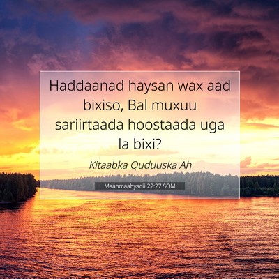 Picture 07 - Maahmaahyadii 22:27 SOM - Haddaanad haysan wax aad bixiso, Bal muxuu - Bible Verse Picture
