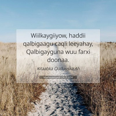 Picture 07 - Maahmaahyadii 23:15 SOM - Wiilkaygiiyow, haddii qalbigaagu caqli leeyahay, - Bible Verse Picture