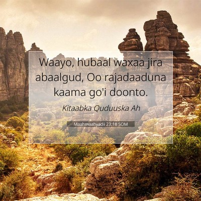 Picture 07 - Maahmaahyadii 23:18 SOM - Waayo, hubaal waxaa jira abaalgud, Oo rajadaaduna - Bible Verse Picture
