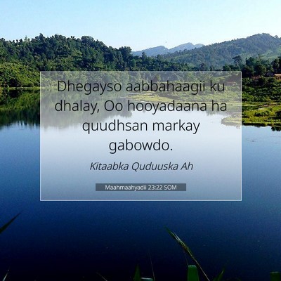 Picture 07 - Maahmaahyadii 23:22 SOM - Dhegayso aabbahaagii ku dhalay, Oo hooyadaana ha - Bible Verse Picture