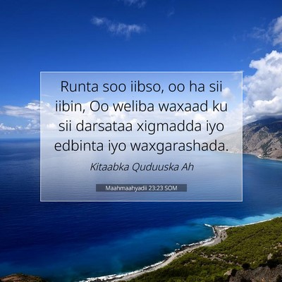 Picture 07 - Maahmaahyadii 23:23 SOM - Runta soo iibso, oo ha sii iibin, Oo weliba - Bible Verse Picture