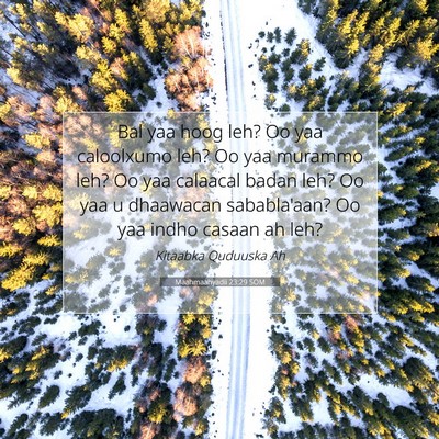 Picture 07 - Maahmaahyadii 23:29 SOM - Bal yaa hoog leh? Oo yaa caloolxumo leh? Oo yaa - Bible Verse Picture