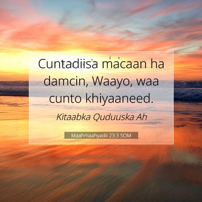 Picture 07 - Maahmaahyadii 23:3 SOM - Cuntadiisa macaan ha damcin, Waayo, waa cunto - Bible Verse Picture