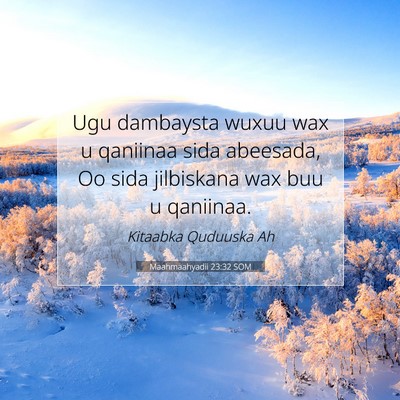 Picture 07 - Maahmaahyadii 23:32 SOM - Ugu dambaysta wuxuu wax u qaniinaa sida abeesada, - Bible Verse Picture