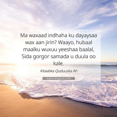 Picture 07 - Maahmaahyadii 23:5 SOM - Ma waxaad indhaha ku dayaysaa wax aan jirin? - Bible Verse Picture