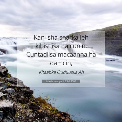 Picture 07 - Maahmaahyadii 23:6 SOM - Kan isha sharka leh kibistiisa ha cunin, - Bible Verse Picture