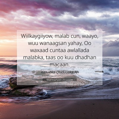 Picture 07 - Maahmaahyadii 24:13 SOM - Wiilkaygiiyow, malab cun, waayo, wuu wanaagsan - Bible Verse Picture