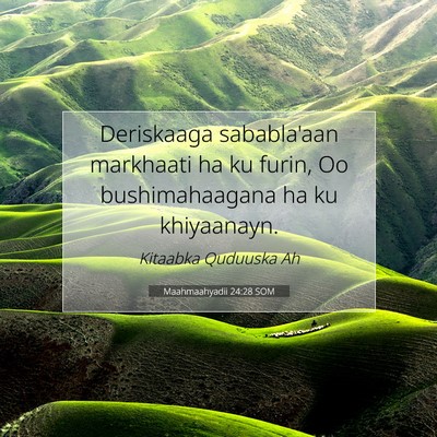 Picture 07 - Maahmaahyadii 24:28 SOM - Deriskaaga sababla'aan markhaati ha ku furin, Oo - Bible Verse Picture