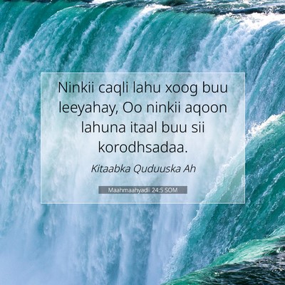 Picture 07 - Maahmaahyadii 24:5 SOM - Ninkii caqli lahu xoog buu leeyahay, Oo ninkii - Bible Verse Picture