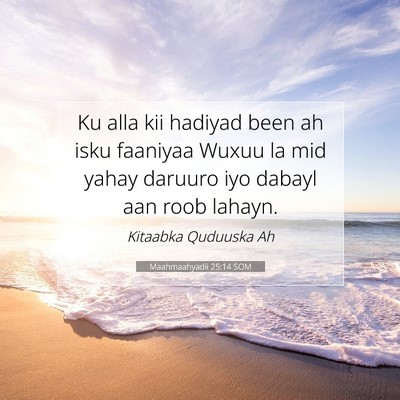 Picture 07 - Maahmaahyadii 25:14 SOM - Ku alla kii hadiyad been ah isku faaniyaa Wuxuu - Bible Verse Picture