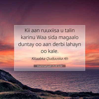 Picture 07 - Maahmaahyadii 25:28 SOM - Kii aan ruuxiisa u talin karinu Waa sida magaalo - Bible Verse Picture