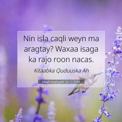 Picture 07 - Maahmaahyadii 26:12 SOM - Nin isla caqli weyn ma aragtay? Waxaa isaga ka - Bible Verse Picture