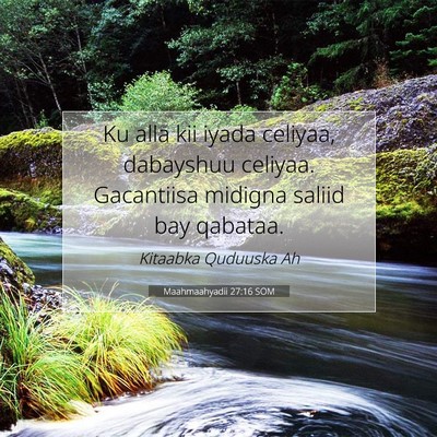 Picture 07 - Maahmaahyadii 27:16 SOM - Ku alla kii iyada celiyaa, dabayshuu celiyaa. - Bible Verse Picture
