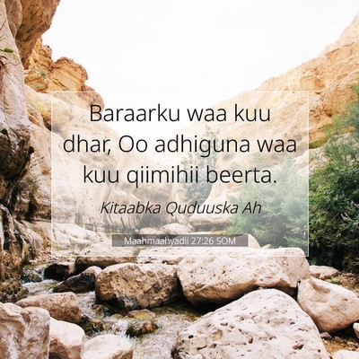 Picture 07 - Maahmaahyadii 27:26 SOM - Baraarku waa kuu dhar, Oo adhiguna waa kuu - Bible Verse Picture