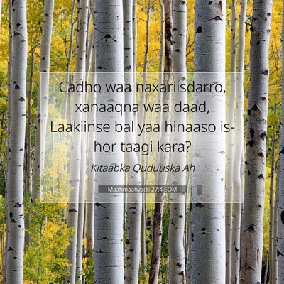 Picture 07 - Maahmaahyadii 27:4 SOM - Cadho waa naxariisdarro, xanaaqna waa daad, - Bible Verse Picture