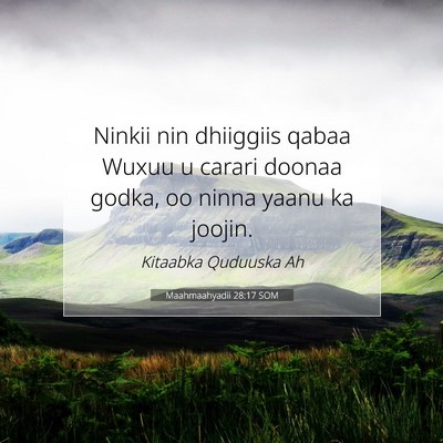Picture 07 - Maahmaahyadii 28:17 SOM - Ninkii nin dhiiggiis qabaa Wuxuu u carari doonaa - Bible Verse Picture