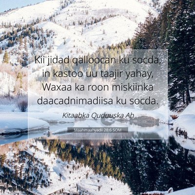 Picture 07 - Maahmaahyadii 28:6 SOM - Kii jidad qalloocan ku socda, in kastoo uu taajir - Bible Verse Picture