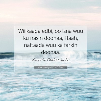 Picture 07 - Maahmaahyadii 29:17 SOM - Wiilkaaga edbi, oo isna wuu ku nasin doonaa, - Bible Verse Picture