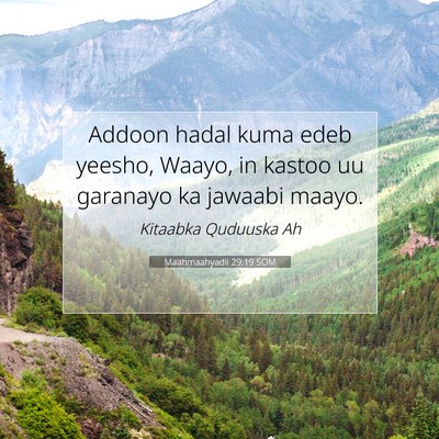 Picture 07 - Maahmaahyadii 29:19 SOM - Addoon hadal kuma edeb yeesho, Waayo, in kastoo - Bible Verse Picture