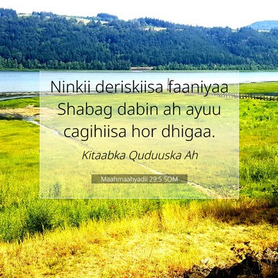 Picture 07 - Maahmaahyadii 29:5 SOM - Ninkii deriskiisa faaniyaa Shabag dabin ah ayuu - Bible Verse Picture