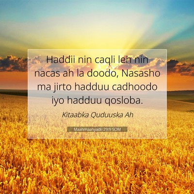 Picture 07 - Maahmaahyadii 29:9 SOM - Haddii nin caqli leh nin nacas ah la doodo, - Bible Verse Picture
