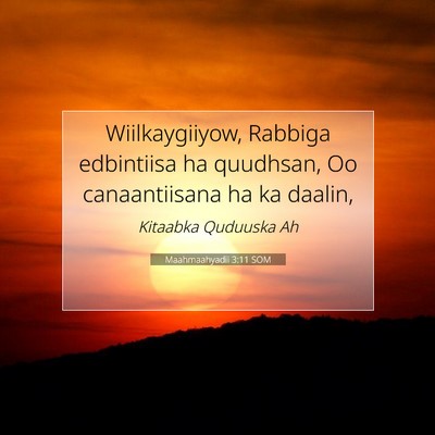 Picture 07 - Maahmaahyadii 3:11 SOM - Wiilkaygiiyow, Rabbiga edbintiisa ha quudhsan, Oo - Bible Verse Picture
