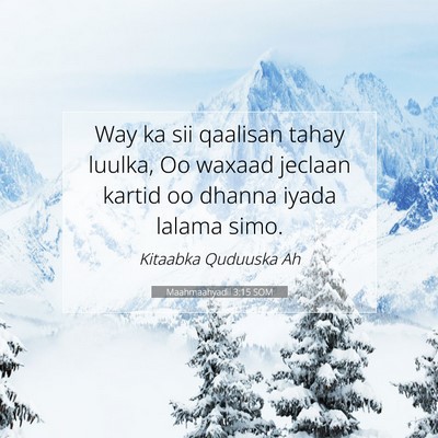Picture 07 - Maahmaahyadii 3:15 SOM - Way ka sii qaalisan tahay luulka, Oo waxaad - Bible Verse Picture