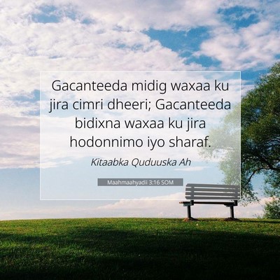Picture 07 - Maahmaahyadii 3:16 SOM - Gacanteeda midig waxaa ku jira cimri dheeri; - Bible Verse Picture
