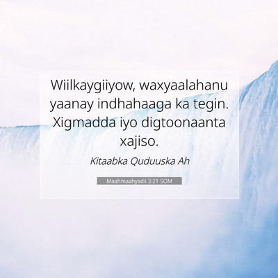 Picture 07 - Maahmaahyadii 3:21 SOM - Wiilkaygiiyow, waxyaalahanu yaanay indhahaaga ka - Bible Verse Picture