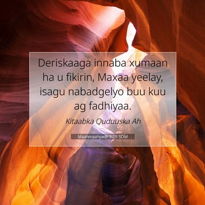Picture 07 - Maahmaahyadii 3:29 SOM - Deriskaaga innaba xumaan ha u fikirin, Maxaa - Bible Verse Picture