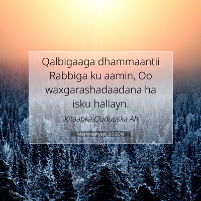 Picture 07 - Maahmaahyadii 3:5 SOM - Qalbigaaga dhammaantii Rabbiga ku aamin, Oo - Bible Verse Picture
