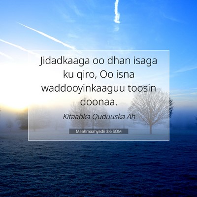 Picture 07 - Maahmaahyadii 3:6 SOM - Jidadkaaga oo dhan isaga ku qiro, Oo isna - Bible Verse Picture
