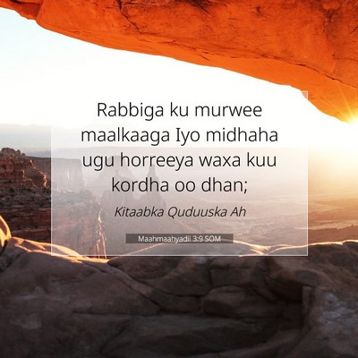 Picture 07 - Maahmaahyadii 3:9 SOM - Rabbiga ku murwee maalkaaga Iyo midhaha ugu - Bible Verse Picture