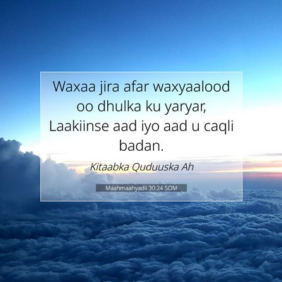 Picture 07 - Maahmaahyadii 30:24 SOM - Waxaa jira afar waxyaalood oo dhulka ku yaryar, - Bible Verse Picture