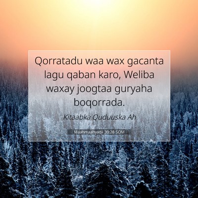 Picture 07 - Maahmaahyadii 30:28 SOM - Qorratadu waa wax gacanta lagu qaban karo, Weliba - Bible Verse Picture