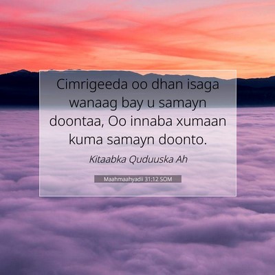 Picture 07 - Maahmaahyadii 31:12 SOM - Cimrigeeda oo dhan isaga wanaag bay u samayn - Bible Verse Picture