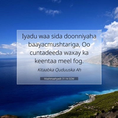 Picture 07 - Maahmaahyadii 31:14 SOM - Iyadu waa sida doonniyaha baayacmushtariga, Oo - Bible Verse Picture