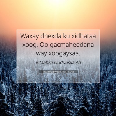 Picture 07 - Maahmaahyadii 31:17 SOM - Waxay dhexda ku xidhataa xoog, Oo gacmaheedana - Bible Verse Picture