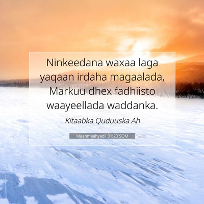 Picture 07 - Maahmaahyadii 31:23 SOM - Ninkeedana waxaa laga yaqaan irdaha magaalada, - Bible Verse Picture